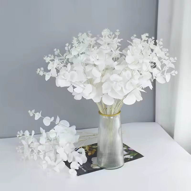بوته برگ اکالیپتوس سفید 